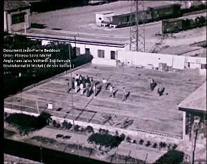 PM q- 03- Rue Sidi-Ferruch- Boules